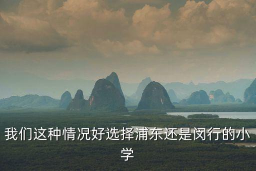 我们这种情况好选择浦东还是闵行的小学