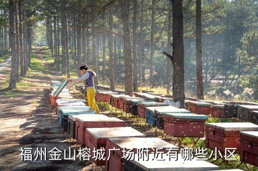 福州金山学区房买哪个区好，福州金山榕城广场附近有哪些小区