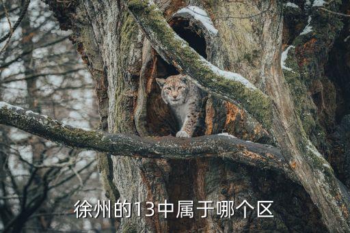徐州的13中属于哪个区
