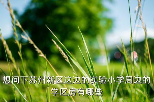苏州新区新盘学区房有哪些，苏州园区有哪些学区房