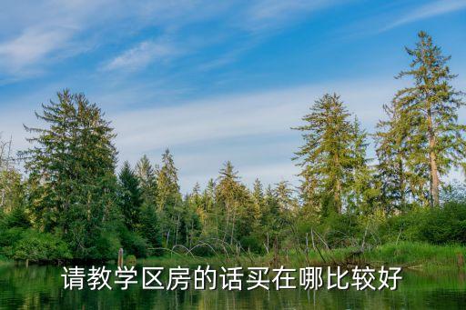 请教学区房的话买在哪比较好