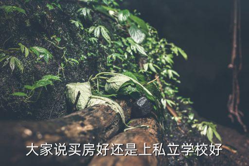 买学区房和上私立哪个好，孩子小升初我是去买学区房还是把孩子送到国际学校呢