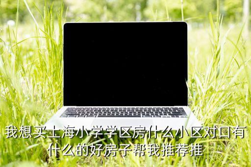 我想买上海小学学区房什么小区对口有什么的好房子帮我推荐推