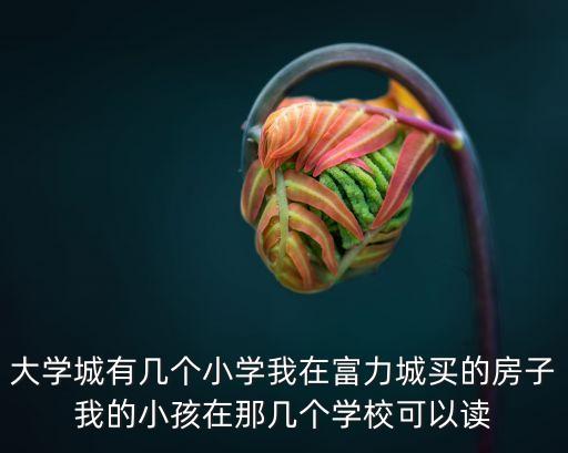 富力城买哪个学区房，买重庆富力城的房子孩子在哪上初中