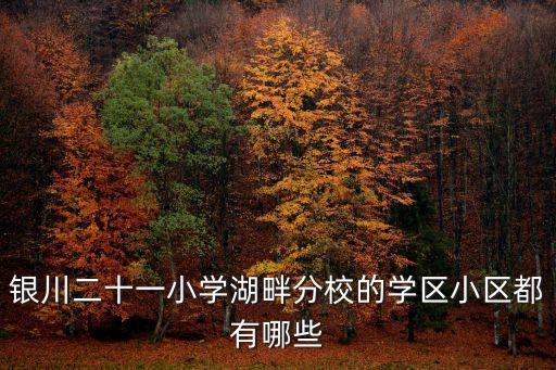 银川二十一小学湖畔分校的学区小区都有哪些