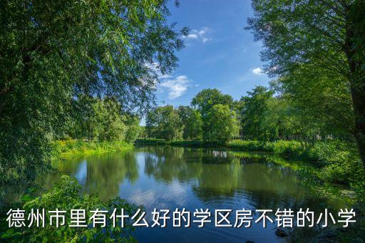 德州市里有什么好的学区房不错的小学