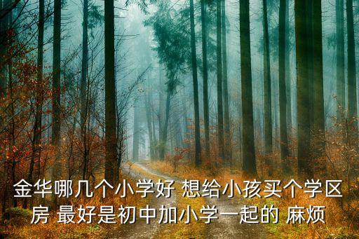 金华哪几个小学好 想给小孩买个学区房 最好是初中加小学一起的 麻烦