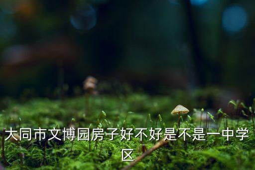 大同市文博园房子好不好是不是一中学区