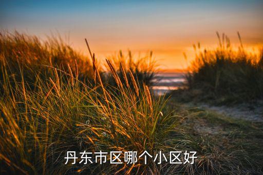 丹东市区哪个小区好