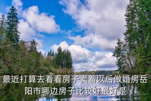 最近打算去看看房子卖着以后做婚房岳阳市哪边房子比较好最好是