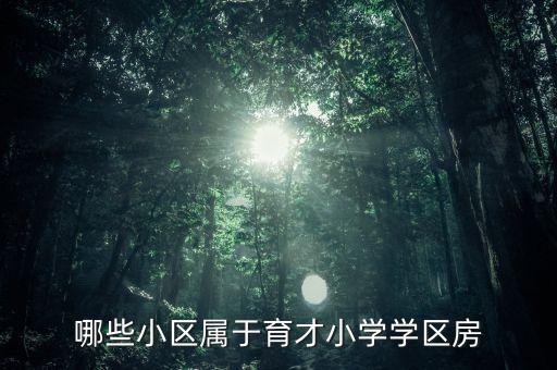 哪些小区属于育才小学学区房