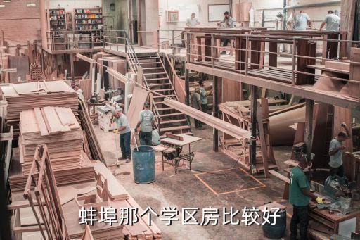 蚌埠那个学区房比较好