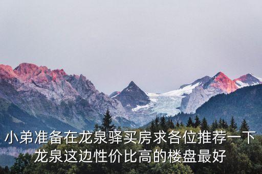 小弟准备在龙泉驿买房求各位推荐一下龙泉这边性价比高的楼盘最好