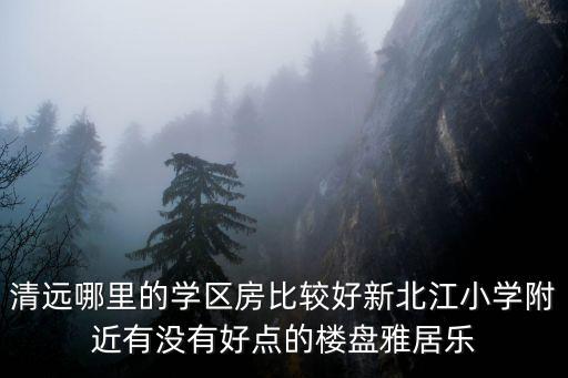 清远哪里的学区房比较好新北江小学附近有没有好点的楼盘雅居乐