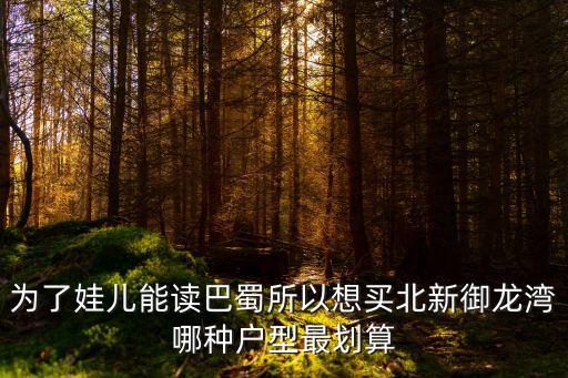 为了娃儿能读巴蜀所以想买北新御龙湾哪种户型最划算