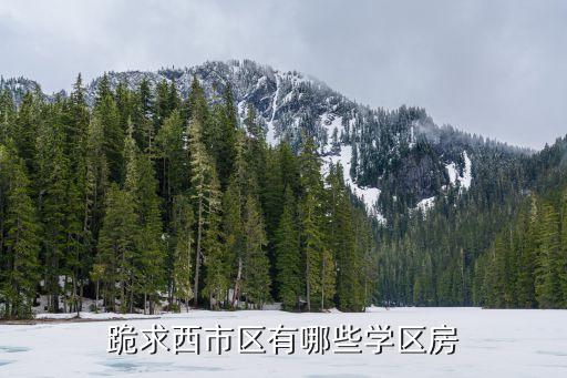 跪求西市区有哪些学区房