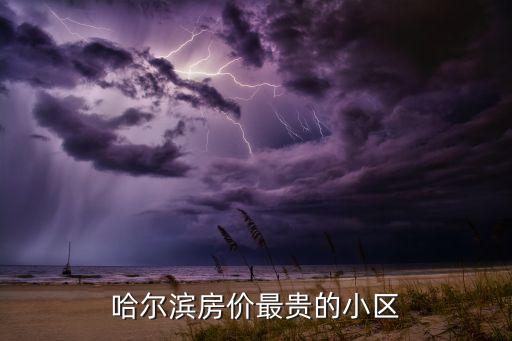 哈尔滨房价最贵的小区