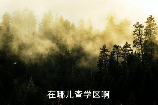 在哪儿查学区啊