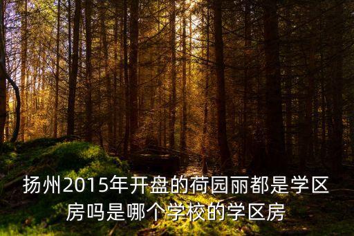 扬州开发区的学区房有哪些，有人知道扬州市九龙花园飞龙苑是属于教育学院附属中学的学区房吗