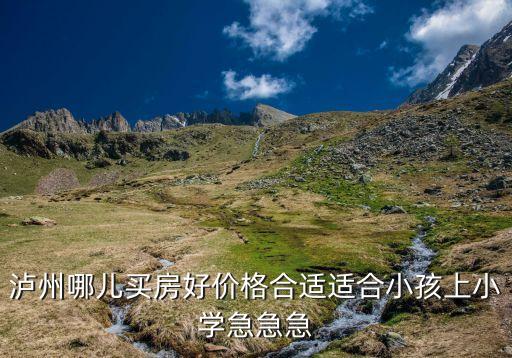 泸州哪儿买房好价格合适适合小孩上小学急急急