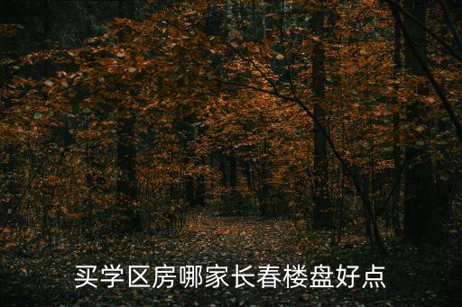 买学区房哪家长春楼盘好点