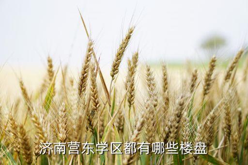 济南营东学区都有哪些楼盘