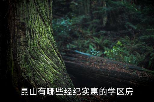 昆山有哪些经纪实惠的学区房