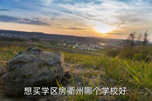 想买学区房衢州哪个学校好