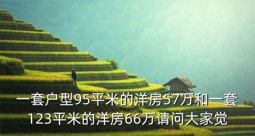 一套户型95平米的洋房57万和一套123平米的洋房66万请问大家觉