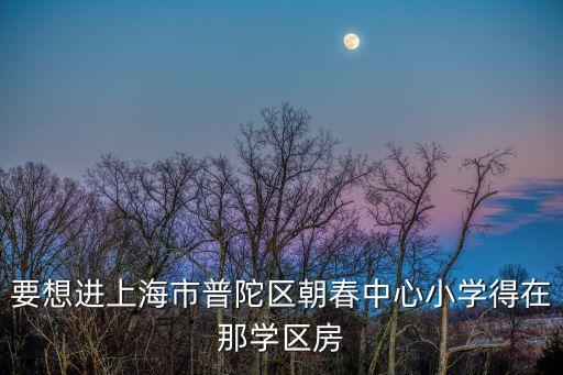 要想进上海市普陀区朝春中心小学得在那学区房