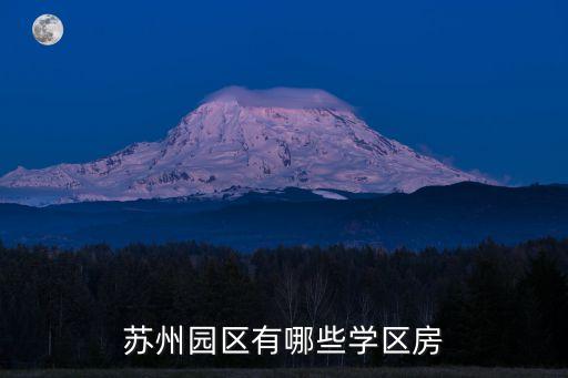 苏州园区有哪些学区房