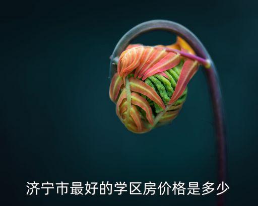 济宁市最好的学区房价格是多少
