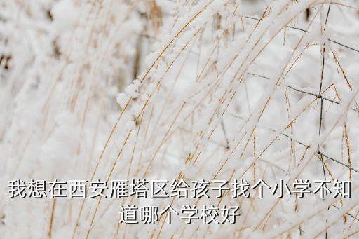 雁塔哪个学校学区房好，西安外事和西安外国语雁塔校区哪个好