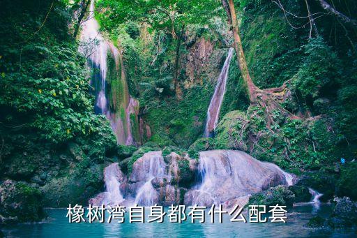 橡树湾自身都有什么配套