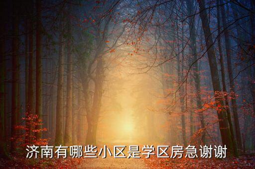 济南有哪些小区是学区房急谢谢
