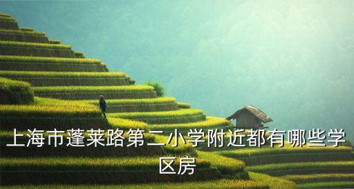 上海市蓬莱路第二小学附近都有哪些学区房
