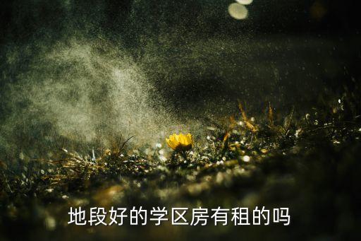 地段好的学区房有租的吗
