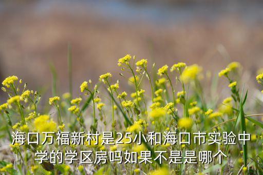 海口万福新村是25小和海口市实验中学的学区房吗如果不是是哪个
