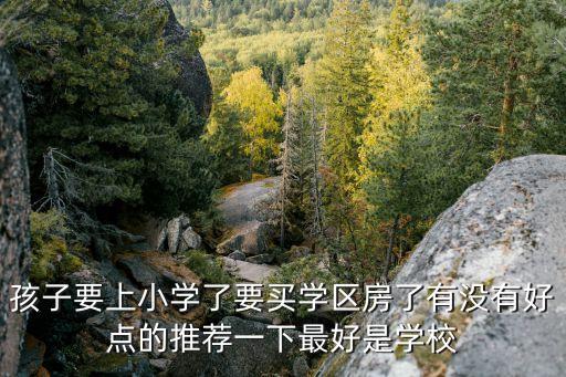 孩子要上小学了要买学区房了有没有好点的推荐一下最好是学校