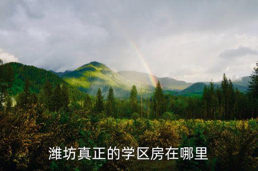 潍坊真正的学区房在哪里