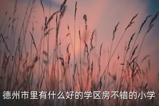 陵城区哪个小区学区房好，现在陵县哪个小区是学区房万晟和加州哪家好