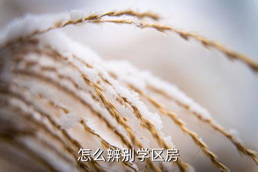 六按盛世嘉园是哪个学区房，怎么辨别学区房