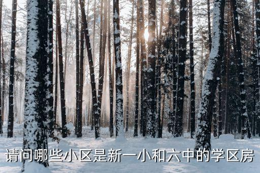 请问哪些小区是新一小和六中的学区房