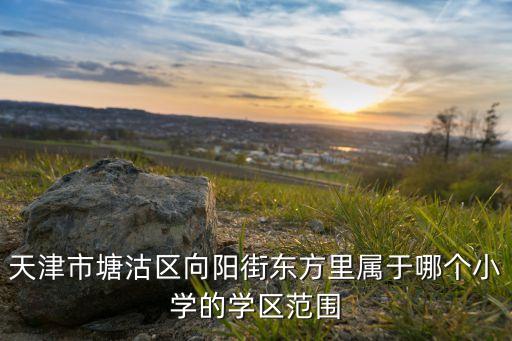 天津市塘沽区向阳街东方里属于哪个小学的学区范围
