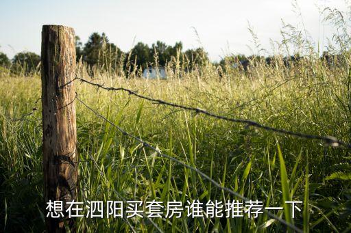 想在泗阳买套房谁能推荐一下