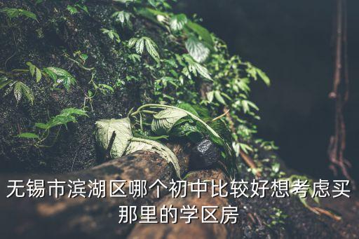 无锡市滨湖区哪个初中比较好想考虑买那里的学区房