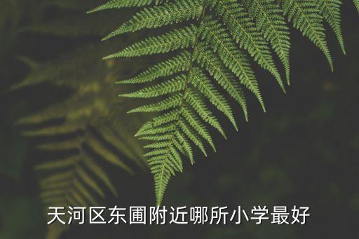 天河区东圃附近哪所小学最好