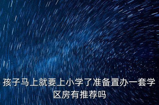 孩子马上就要上小学了准备置办一套学区房有推荐吗