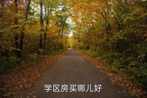 新高苑学区房哪个最好，学区房到底买哪好了