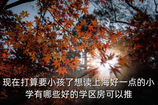 上海三林学区房哪个小区好，上海有哪些比较好的学区房推荐